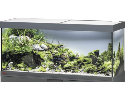 Aquarium EHEIM Vivaline 240 avec éclairage à LED, chauffage, filtre sans meuble bas anthracite
