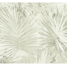 Papier peint intissé 36385-4 Attractive 2 feuille de palmier vert clair