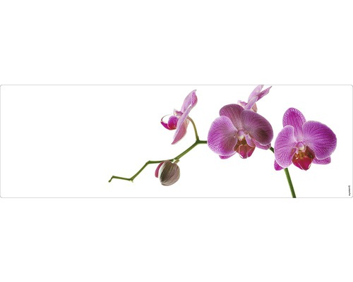 Badrückwand mySPOTTI aqua Orchidee pink 140x45 cm