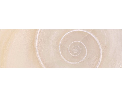 Paroi arrière de salle de bains mySPOTTI aqua escargot 140x45 cm Gros plan d''une structure de coquille d''escargot en spirale claire