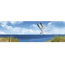 Illustration mit Möwen über dem Meer, Küstenlandschaft