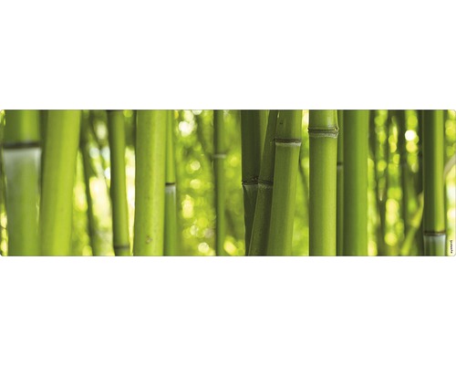 Badrückwand mySPOTTI aqua Bambus 140x45 cm