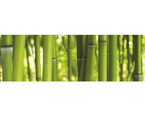 Paroi arrière de salle de bains mySPOTTI aqua Bambou 140x45 cm Forêt de bambous avec des tiges rapprochées
