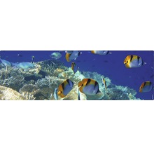 Badrückwand mySPOTTI aqua Unterwasser 140x45 cm-thumb-0