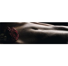 Dekoratives Wandbild mit Rose