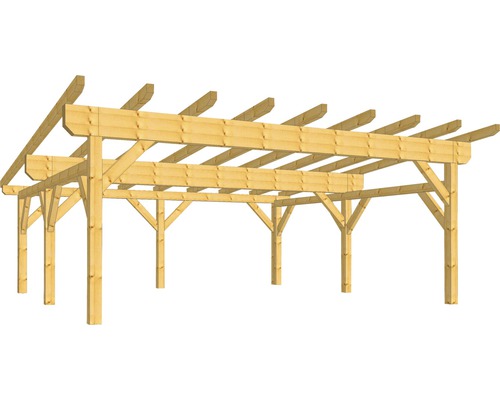 Holzkonstruktion mit Pultdach 550x500 cm für Punktfundamente