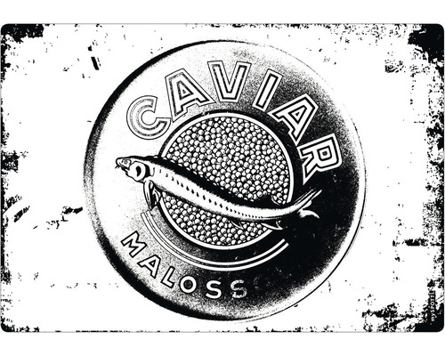 Küchenrückwand mySPOTTI pop Caviar black 59x41 cm Caviar Maloss Dose mit Fisch Abbildung