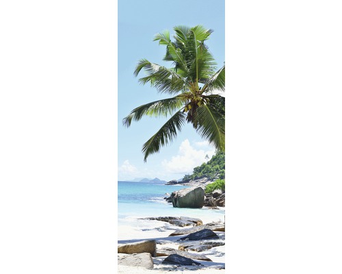 Strandansicht mit Felsen und Palme