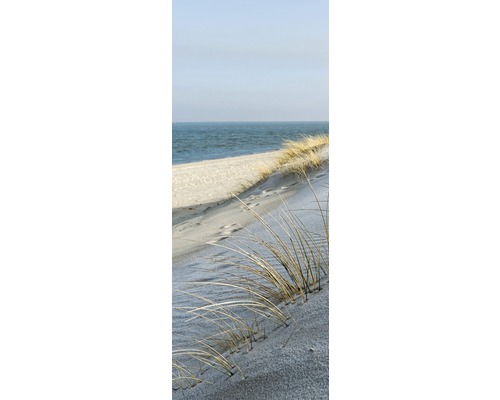 Dünengras am Strand