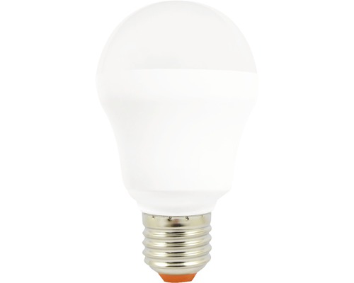 Ampoule LED avec culot à vis