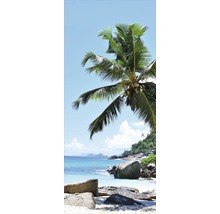 Palmier sur la plage avec rochers et mer bleue