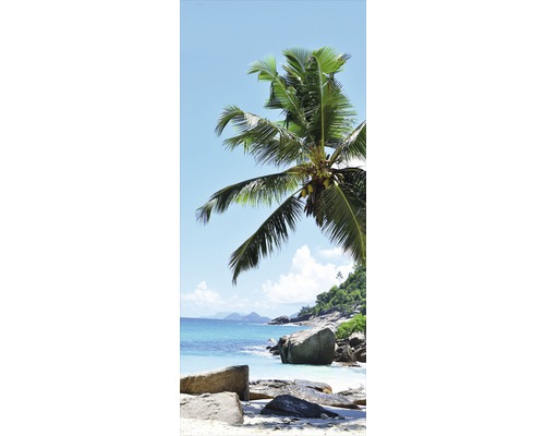 Palmier sur la plage avec rochers et mer bleue