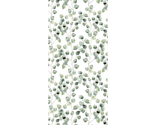 Motif feuilles d''eucalyptus