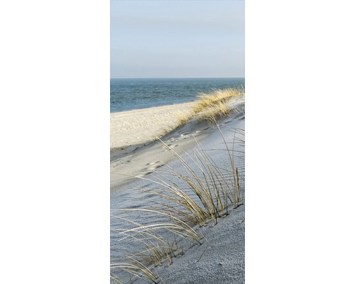 Strandhafer auf einer Düne am Meer
