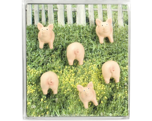 Aimant de réfrigérateur décoratif avec des cochons dans un pré