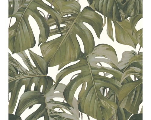 Papier peint intissé 36519-2 Michalsky 3 - Dream Again feuilles de philodendron Papier peint intissé 36519-2 Michalsky 3 - Dream Again feuilles de philodendron