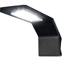 Ampoule Dennerle LED NANO Style L - 8 W