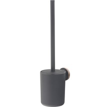 Brosse de toilette avec support mural