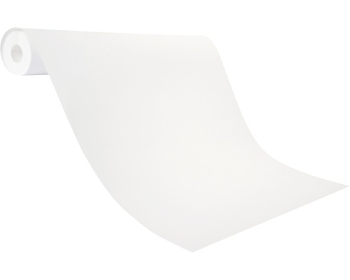 Rouleau de non-tissé de peintre