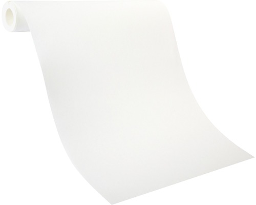 Rouleau de papier peint pour travaux de rénovation