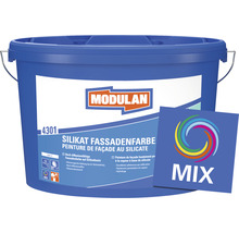 Seau de peinture de façade au silicate