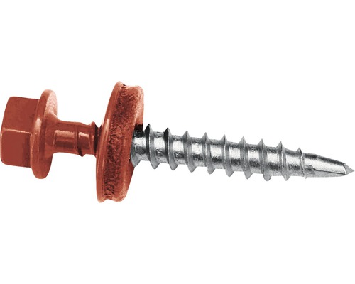 Einzelne Schraube mit Sechskantkopf und Dichtscheibe