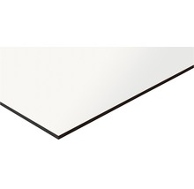 Panneau stratifié HPL blanc 2440x1220x6 mm (découpe à réserver en ligne)-thumb-1