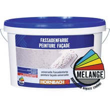Seau de peinture de façade