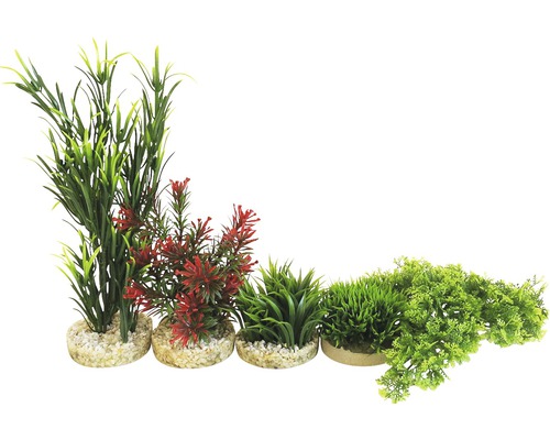 Kit de plantes aquatiques en plastique Sydeco Combi 1