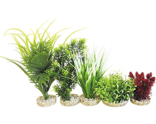 Kit de plantes aquatiques en plastique Sydeco Combi 2 ( 5 unités)