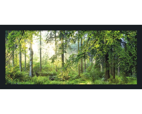 Tableau encadré Forest Harmony 130x60 cm