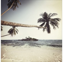 Plage avec des palmiers et une petite île dans la mer