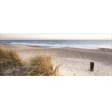 Landschaftsansicht eines Strandes mit Sand, Gras und Meer