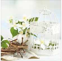 Scène décorative avec cage à oiseaux, fleurs, branches et partition musicale