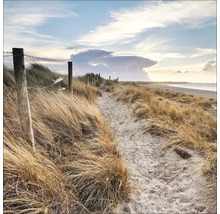 Sandweg am Strand mit Dünen und Holzzaun