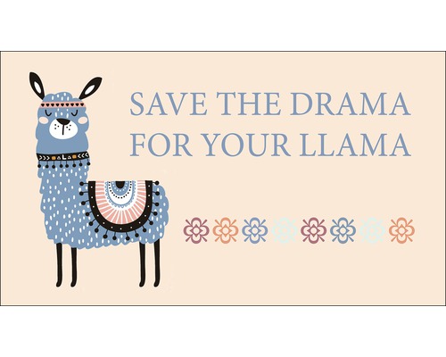 Image avec l''inscription ''Save the Drama for your Llama'' et une représentation stylisée d''un lama