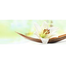 Photo sous verre Young Living I, 30x80 cm