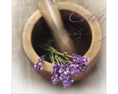 Glasbild Lovely Lavender I 20x20 cm