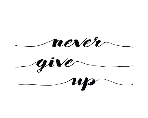 Illustration avec l''inscription Never Give Up