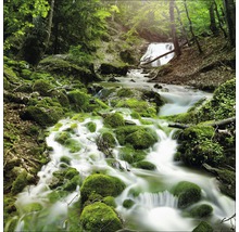 Fliessender Bach mit Moos über Felsen im Wald