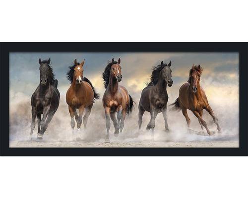 Tableau encadré 5 Horses 130x60 cm