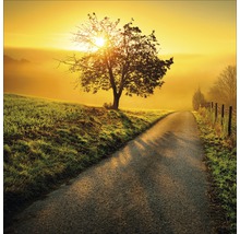 Ein Weg führt durch eine Landschaft mit einem Baum im Morgenlicht.