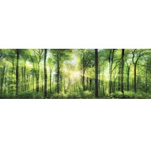 Keilrahmenbild Fresh Green 150x50 cm-thumb-0