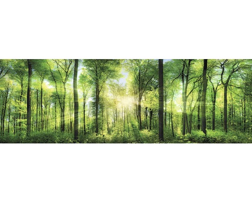 Keilrahmenbild Fresh Green 150x50 cm-0