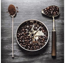 Kaffeebohnen und Kaffeepulver mit Messlöffeln auf einem Kaffeefilter