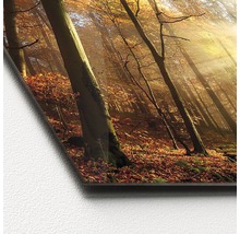 Dekobild mit Herbstwaldmotiv auf Acrylglas