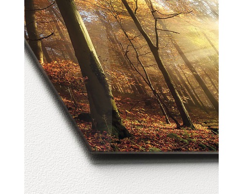 Image décorative avec motif de forêt d''automne sur verre acrylique