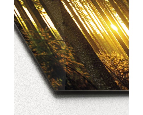 Image en verre avec motif de forêt et soleil