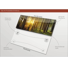 Produktbeschreibung Glasbild mit Waldmotiv, Aufhängern und Abstandshaltern