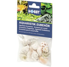 Hobby Aquarium Zubehör: Verpackung mit verschiedenen Schneckenhäusern für das Aquarium